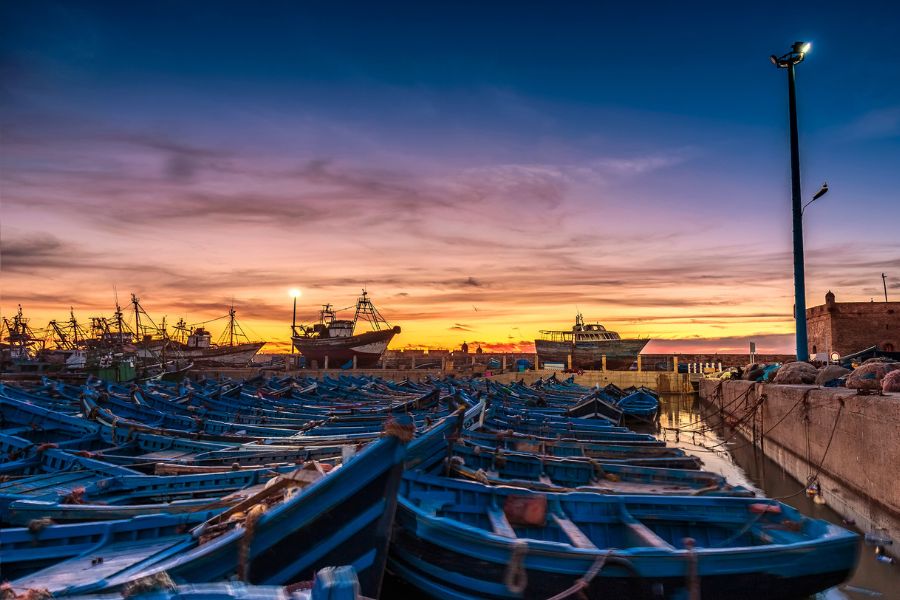 Sun, Surf, and Seafood Delights in Essaouira