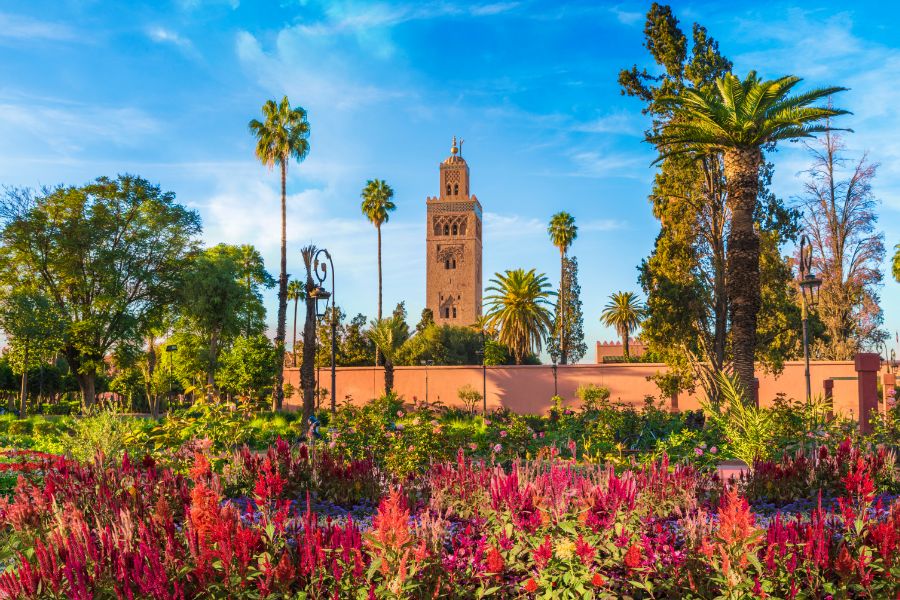 A Journey Through Marrakech’s Top Attractions